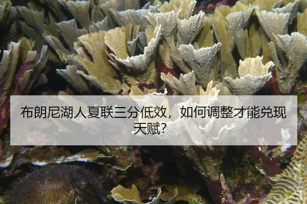 布朗尼湖人夏联三分低效，如何调整才能兑现天赋？