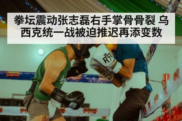 拳坛震动张志磊右手掌骨骨裂 乌西克统一战被迫推迟再添变数