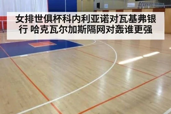 女排世俱杯科内利亚诺对瓦基弗银行 哈克瓦尔加斯隔网对轰谁更强