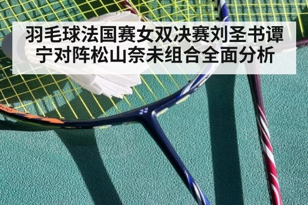 羽毛球法国赛女双决赛刘圣书谭宁对阵松山奈未组合全面分析